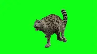 white tiger  green screen  video effect  and 5 effect animation animal