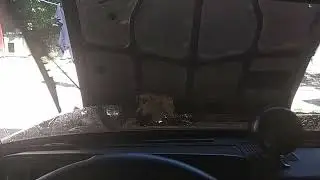 После ремонта мотора дворников.
