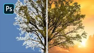 A NEW (BETTER) Way to Cut Out Trees in Photoshop