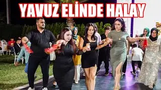 YAVUZ ELİNDE HALAY - Halay Başı Efsanne Oyun