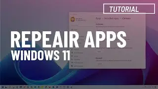 Windows 11 app not working? Here's how to fix it (2 Easy Ways)