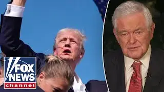 Newt Gingrich: I was 'very emotional' over this