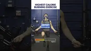 Lowest VS Highest Calorie Burning Exercises