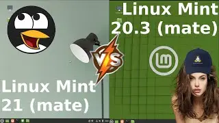 Linux Mint 21 Beta vs Linux Mint 20.3: RAM Usage on Boot Up