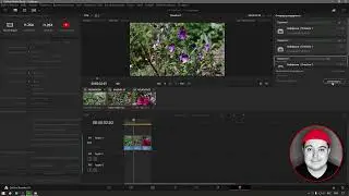 Как Экспортировать проект DaVinci Resolve в разные файлы