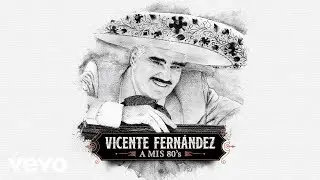 Vicente Fernández - Se Me Olvidó Otra Vez (Cover Audio)