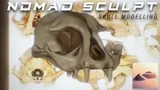 Nomad Sculpt | Sculpting a Skull