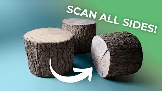 How to 3D Scan All Sides of Objects - RealityCapture