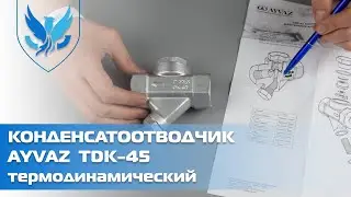 ⛲️🔷 Конденсатоотводчик термодинамический Ayvaz TDK-45 🎥 Конденсатоотводчик муфтовый | АРМАШОП