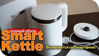 Clever maker Xiaomi Mi Smart Kettle overview video