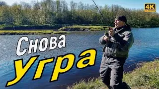 Опять на реку Угра. Это единственная живая речка в это время