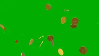 Gold Coin Falling Green Screen