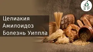 ДЕМО Целиакия, амилоидоз, болезнь Уиппла | Лекции по патологической анатомии