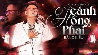 Cánh Hồng Phai - Bằng Kiều | Live Stage | Official Music Video | Mây Concert #1