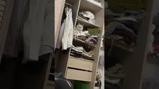 #mrcat #cat #кот #смех