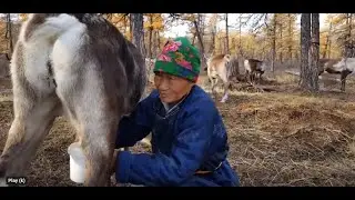 Amazing Trip through North and West Mongolia