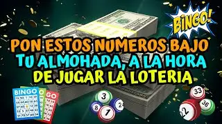 Pon estos Numeros bajo tu almohada a la hora de jugar la Loteria