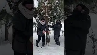 Снежная лавина. Новогодняя елка 🌲