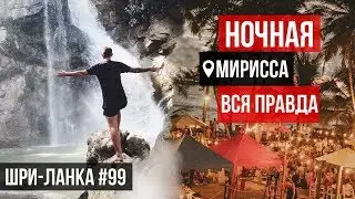 Дикая природа Шри-Ланки: остров джунглей / Ночная жизнь - Вся ПРАВДА !!  МИРИССА / 2020