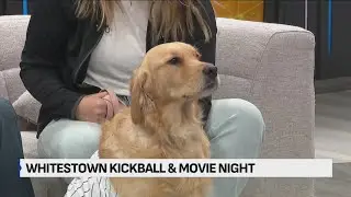 Whitestown kickball and movie night