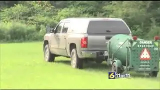 Black bear spotted in Portage Borough