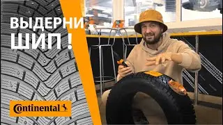 Выдерни шип и получи комплект шин в подарок! Акция от Continental и торговой сети Подкова