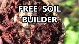 FREE GARDEN SOIL BUILDING USING THIS