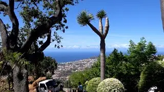 Madeira : Funchal : Jardim Botânico