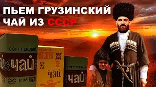 Как чай появился в СССР? | Дегустируем Грузинский чай за 95 копеек | Отвечаем на вопросы