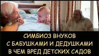 ✅ Н.Левашов. Симбиоз внуков с бабушками и дедушками. В чем вред детских садов