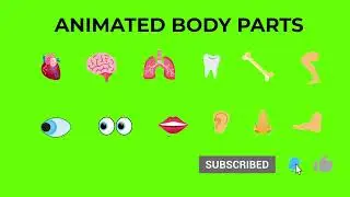 Animated Body Parts | Animated Icon | Green Screen