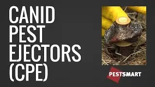 Canid Pest Ejector (CPE) for fox and wild dog control