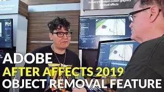 Adobe After Effects CC 2019 Object Removal Feature