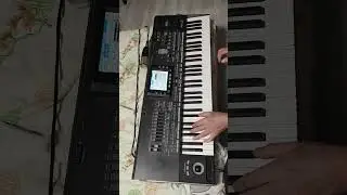 KorgStyle- Падает Снег Korg Pa3X