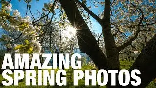 Tips for AMAZING SPRING PHOTOS 📷Learn Photography