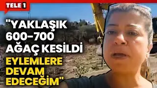 Antakya Zeytin Ağaçları Direnişinin 49. Gününde Çiğdem Arslan Acı Tabloyu Anlattı: Katliam Bu...