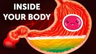 A Journey Inside Your Body