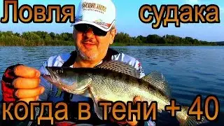 Ловля судака джигом, когда в тени +40.