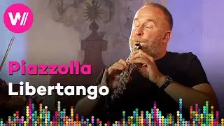 Libertango by Astor Piazzolla | Vilém Veverka