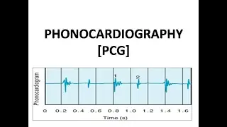 Phonocardiography (PCG)