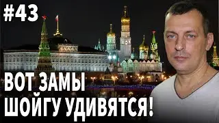 Вот замы Шойгу удивятся. Воскресный стрим №43