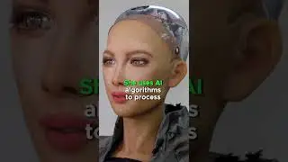 What can Sophia the robot do? #sophiarobot #sophia  #robot #ai #usa #shorts #trending #robotics #fun