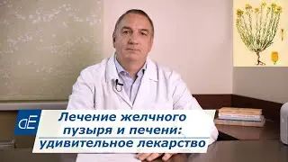 Лечение желчного пузыря и печени: 1 удивительное лекарство: Бессмертник песчаный.