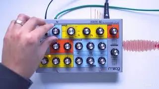 Moog Sirin Review