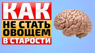 Даже в 100 лет ясность ума и активный мозг как в 20. Как не допустить разрушения памяти