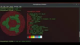 Display Linux Distribution Logo in ASCII Art in Terminal - Install And Uninstall neofetch In Ubuntu