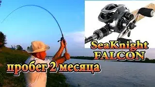 SeaKnight FALCON после двух месяцев пользования. Что обнаружилось