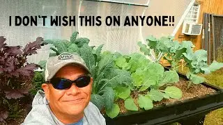 I Don't Wish This On Anyone ||  Vegepod Update