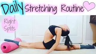 Daily Stretching Routine ♡