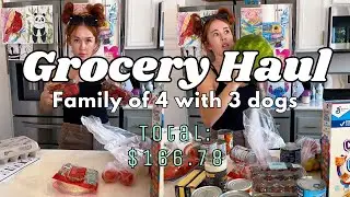 GROCERY HAUL FAMILY OF 4 with 3 dogs | GROCERY HAUL VLOG STYLE